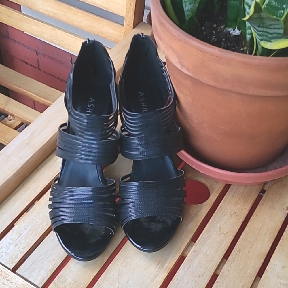Size 12M Shoes